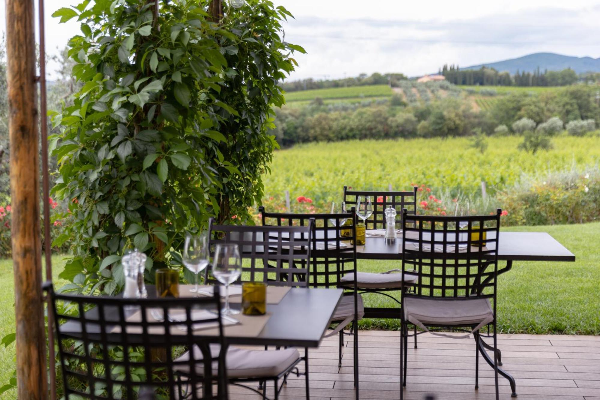 Dell'aioncino Herberg Bibbona